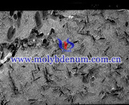 moly carbide needles